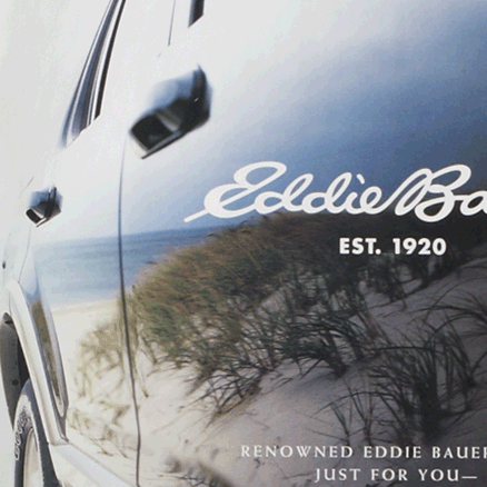 Beach scene reflected off car door.